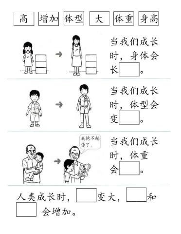 二年级科学人类的成长