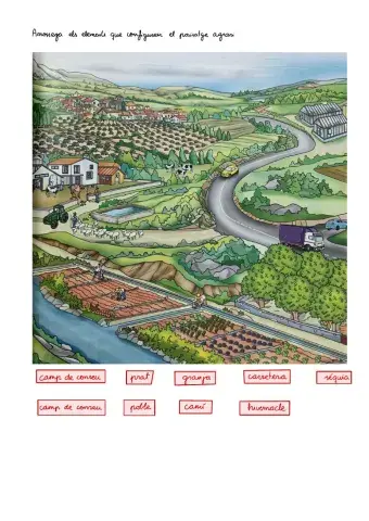 Elements del paisatge agrari