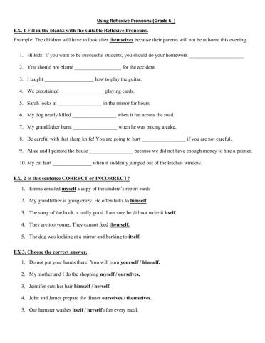 Reflexive Pronouns (G6)