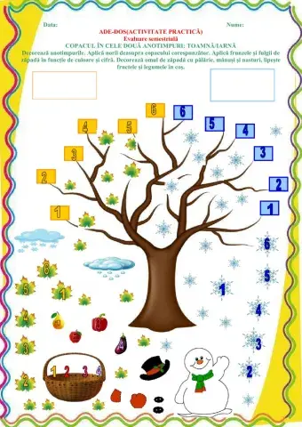 EVALUARE SEMESTRIALĂ - ACTIVITATE PRACTICĂ