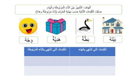 تاء مربوطة وهاء