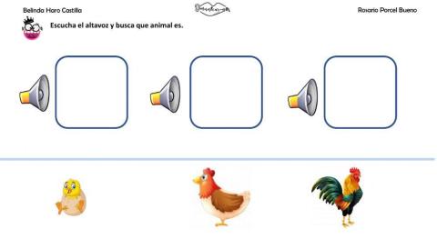 Asociaciones: animal y onomatopeya