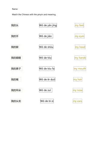 身体部位 body parts