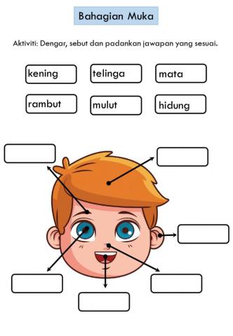 Mengenal Anggota Badan: Bahagian Muka