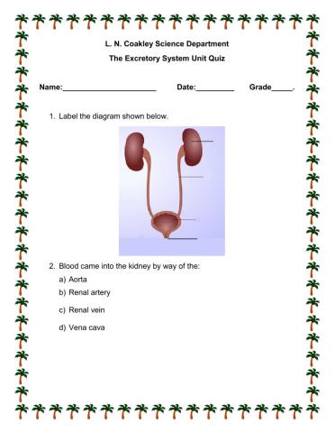The excretory System