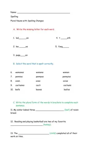 Irregular Plural Nouns