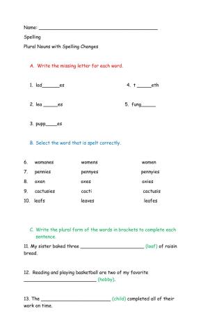 Irregular Plural Nouns