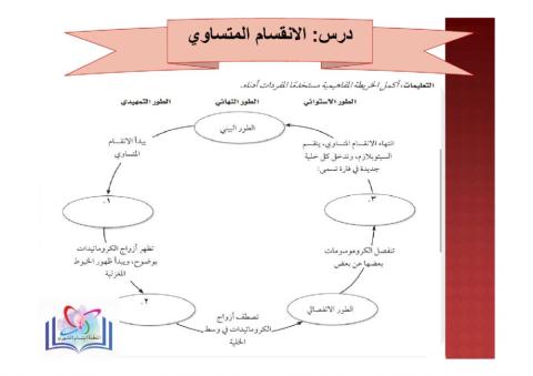 انقسام الخلية