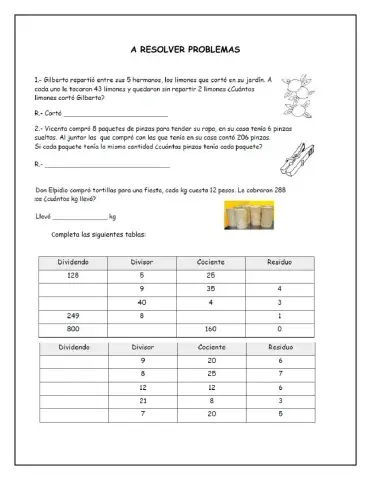 Los elementos de la división
