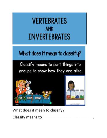 Vertebrates and invertebrates