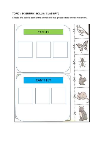 Scientific skill - classify