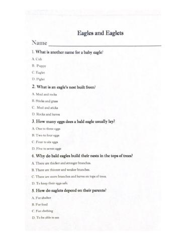 Eagles vs .Eaglets