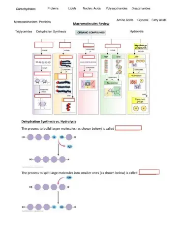 Macromolecules