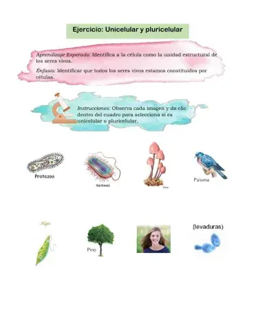 Unicelular y pluricelular