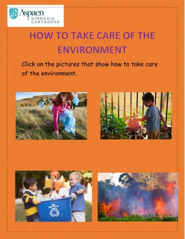How to take care of the environment