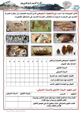 التكيف السلوكي