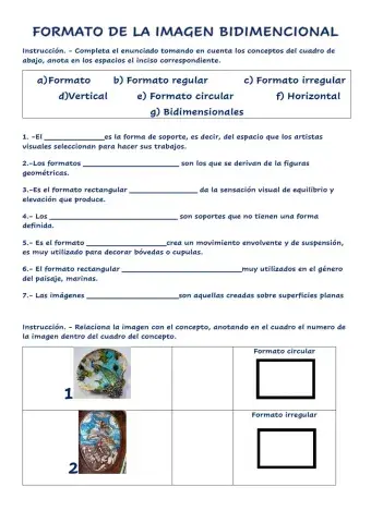 Formato de la imagen bidimencional