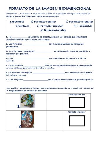 Formato de la imagen bidimencional
