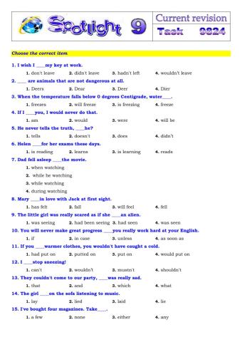 Spotlight 9 Task 9824