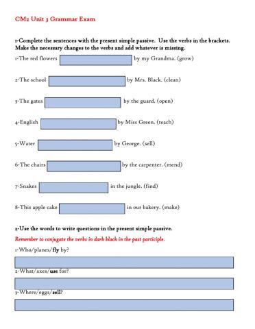 CM2 Unit 3 Grammar Exam