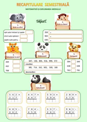 Recapitulare semestriala