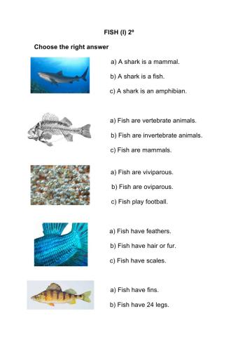Fish (I) 2º