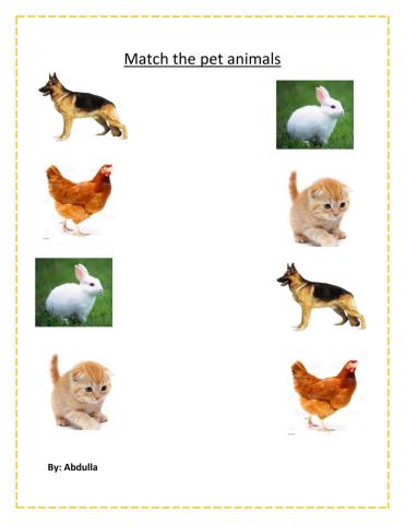 Match the pet animals