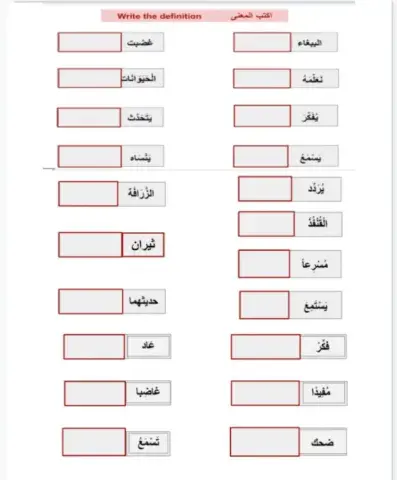 الببغاء الثرثار