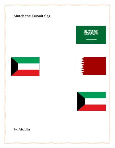 Match the Kuwait flag