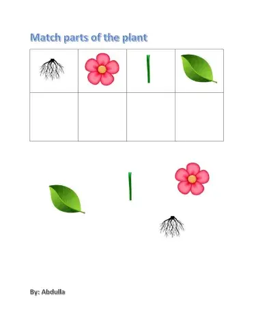 Match parts of the plant