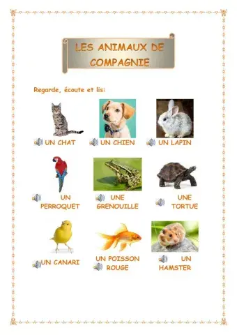 Les animaux de compagnie