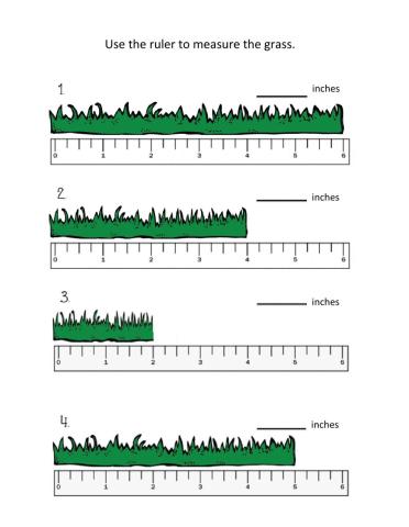 Measure the Grass