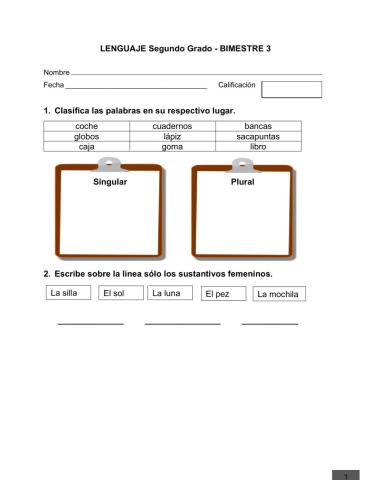Singular y Plural 2do grado