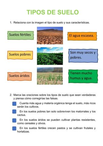 Tipos de suelo