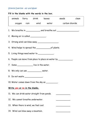 Science Exercise Air and Water