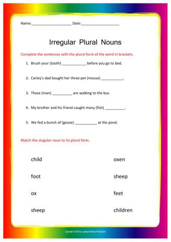 Irregular Plural Nouns