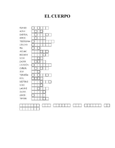 El cuerpo humano