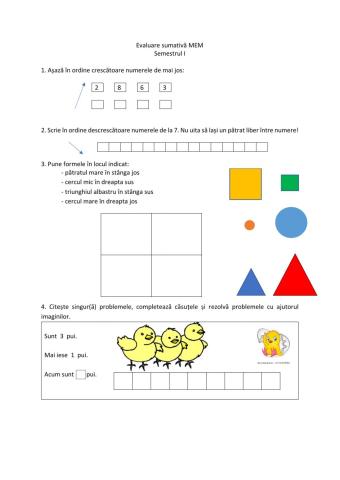 Evaluare sumativa semestrul I