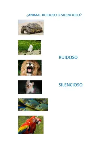 Animales ruidosos y silenciosos