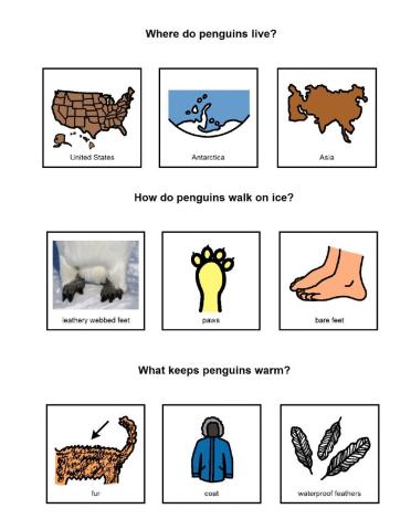 Explore My World Penguins