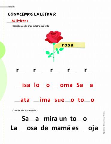 Actividad 5 letra R