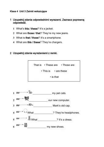Demonstrative pronouns