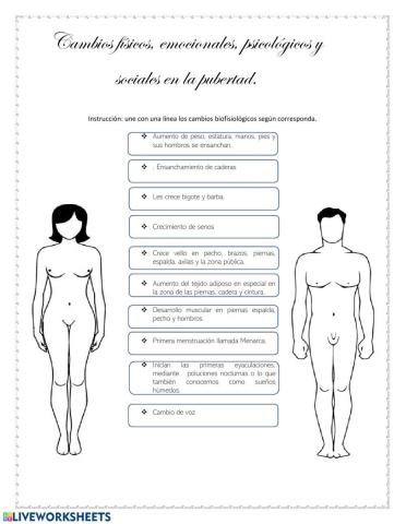 Cambios En la adolescencia