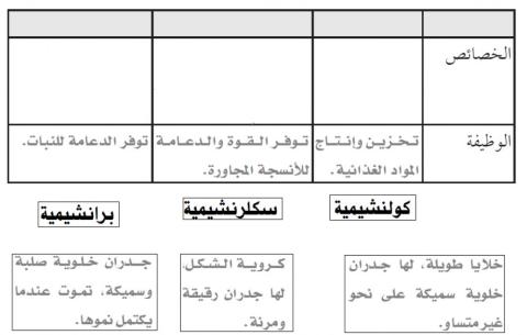 أنواع الخلايا النباتية