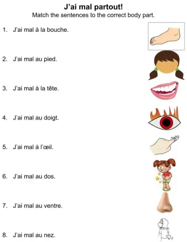 J'ai mal partout (body parts)