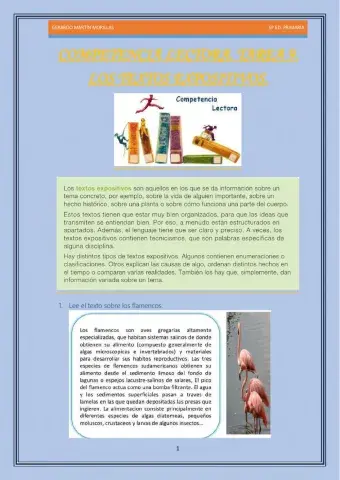 Competencia lectora. Tarea 9.