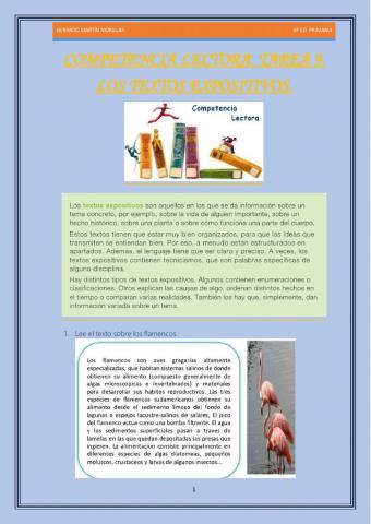 Competencia lectora. Tarea 9.