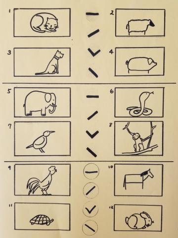 听辨四声调-动物