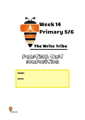 2021 Week 14 p5-6  COMPO TEST