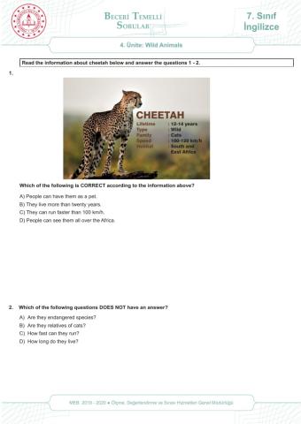 7.4 Wild Animals MEB Skill Based Test part 1